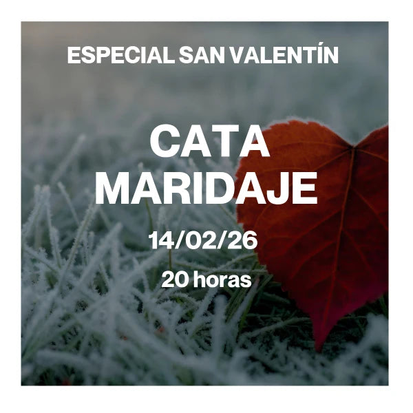 CATA MARIDAJE chocolate Bean to Bar especial San Valentín GIJON