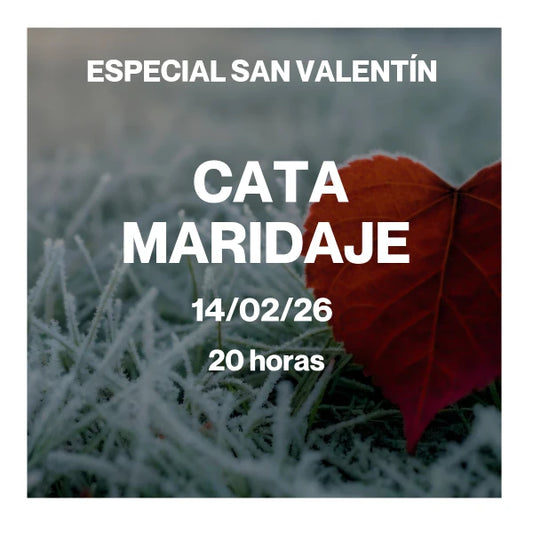 CATA MARIDAJE chocolate Bean to Bar especial San Valentín GIJON