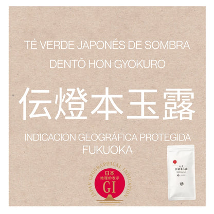 TÉ VERDE dentō hon GYOKURO calidad superior IGP Hoshino YAME 50 g