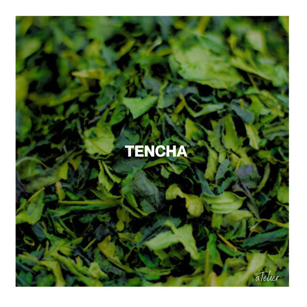 TÉ MATCHA CEREMONIAL Hattori ichibancha usucha origen único Kikugawa SHIZUOKA 30 g