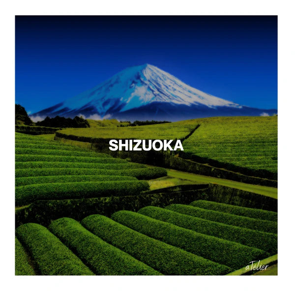 TÉ MATCHA CEREMONIAL Hattori ichibancha usucha origen único Kikugawa SHIZUOKA 30 g