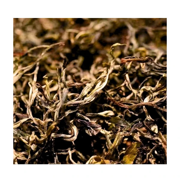 TÉ NEGRO chino Hongcha Jingmai Dashu 2022 Shaiqing Maocha YUNNAN
