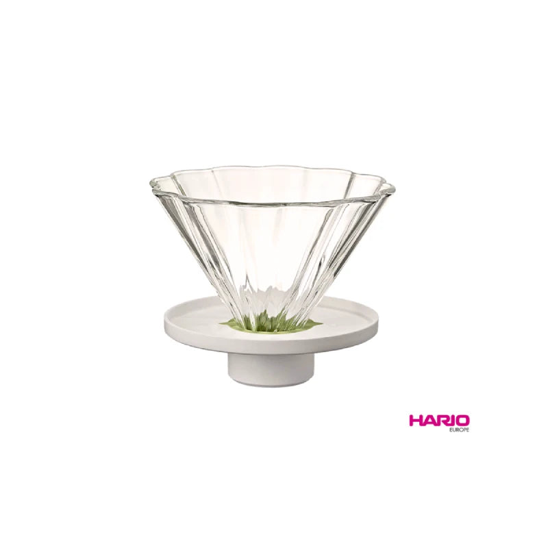 PREORDEN HARIO infusor tulipa con redoma para té frío y caliente BOROSILICATO PATENTADO