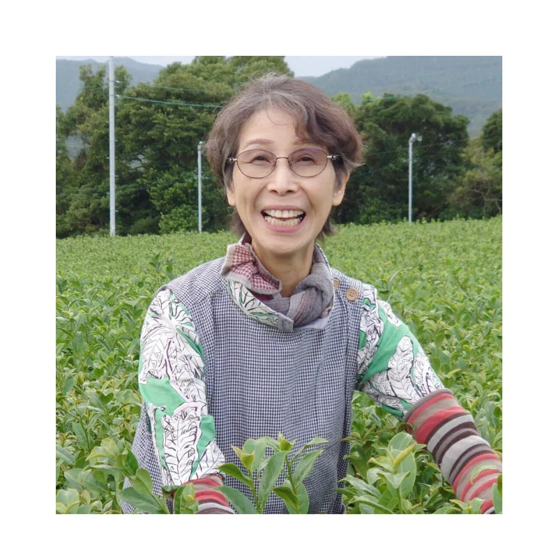 PREORDEN TÉ VERDE NUEVO orgánico Morimoto Kamimizu SHINCHA 2026