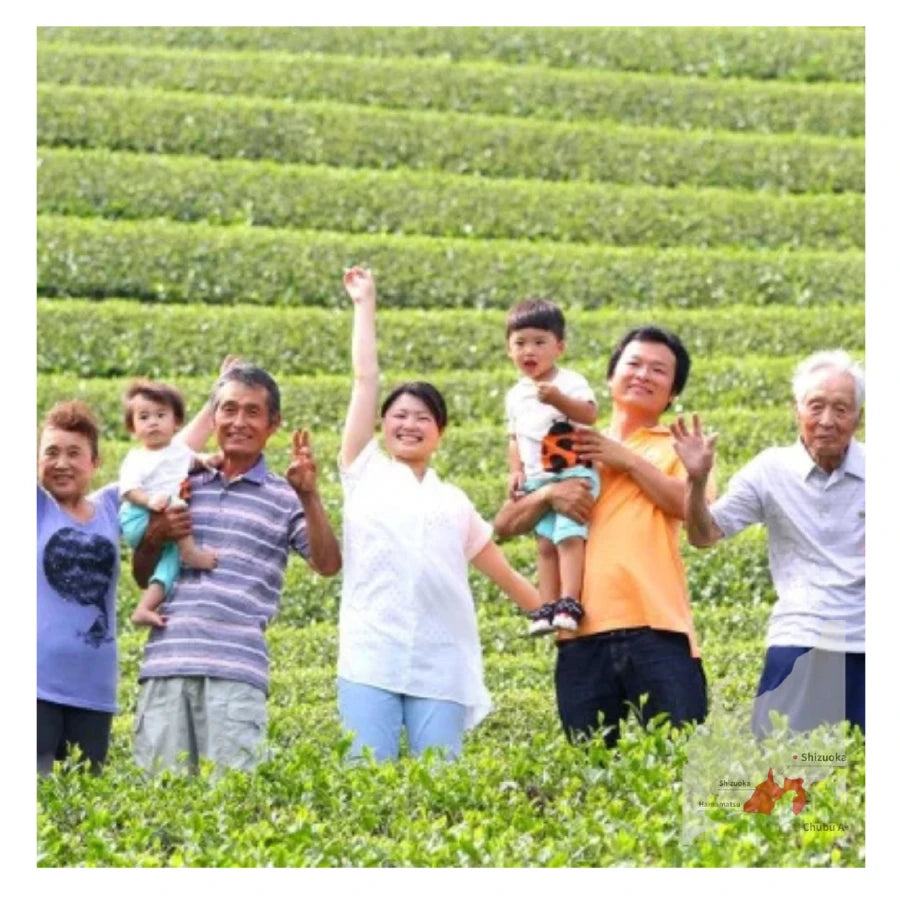 PREORDEN TÉ VERDE japonés tostado y ahumado hojicha SHIMADA 50 g