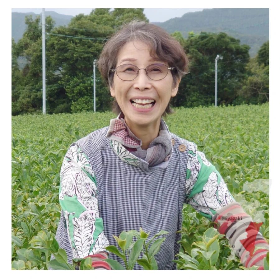 TÉ VERDE japonés yanagi bancha segunda cosecha orgánico MIYAZAKI 100 g