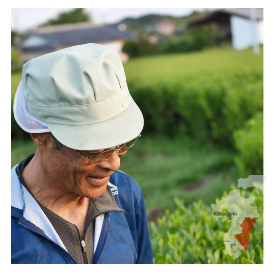 TÉ VERDE japonés yanagi bancha segunda cosecha orgánico MIYAZAKI 100 g