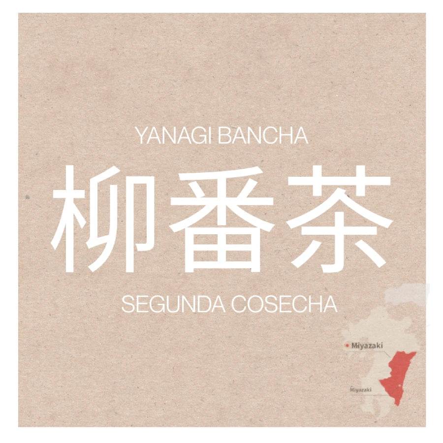 TÉ VERDE japonés yanagi bancha segunda cosecha orgánico MIYAZAKI 100 g