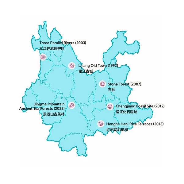 TÉ NEGRO chino Hongcha Jingmai Dashu 2022 Shaiqing Maocha YUNNAN