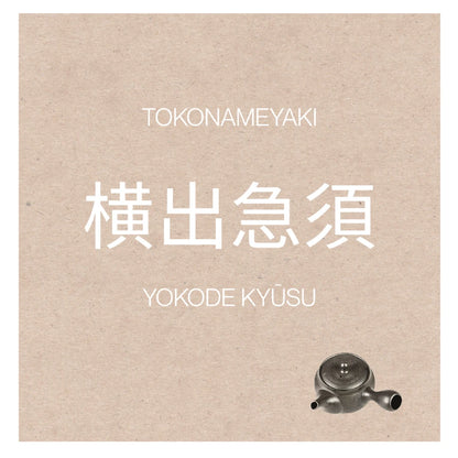 PREORDEN TOKONAME YAKI tetera japonesa yokode kyusu gyokkō NEGRO 340 ml