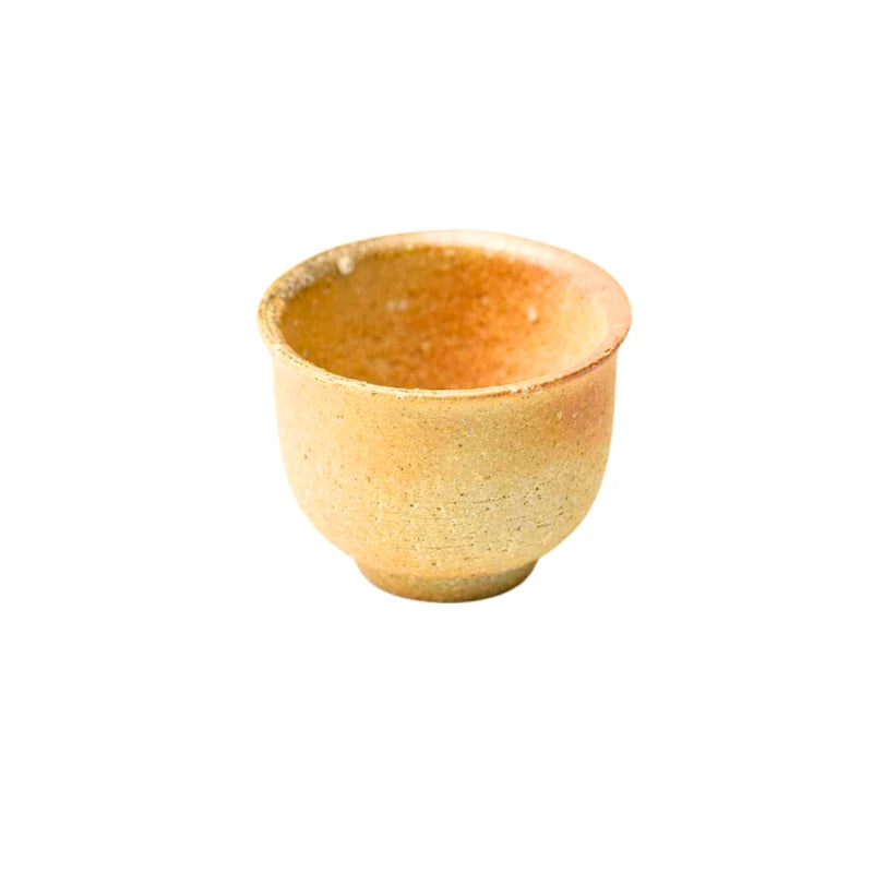 SHIGARAKI YAKI vaso ceramica japonesa yunomi yakishime HECHIMON 180 ml