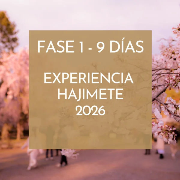 EXPERIENCIA HAJIMETE viaje grupal Japón 2026