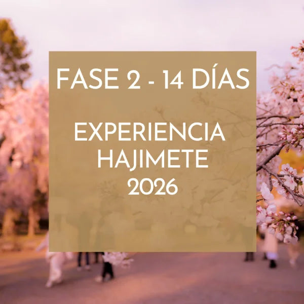 EXPERIENCIA HAJIMETE viaje grupal Japón 2026