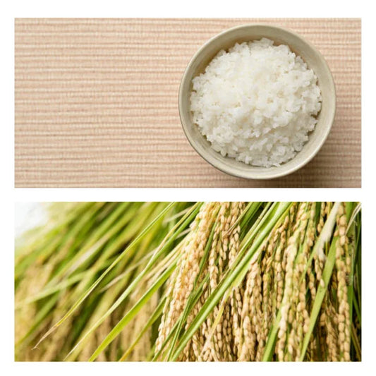 PREORDEN KOME auténtico arroz KOSHIHIKARI para SUSHI 1 kg