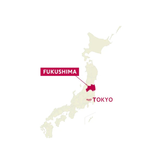 PREORDEN FIDEOS de trigo sarraceno tostado SOBA 200 g