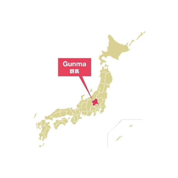 KOKESHI auténtica artesanía japonesa en madera muñeca NINJA