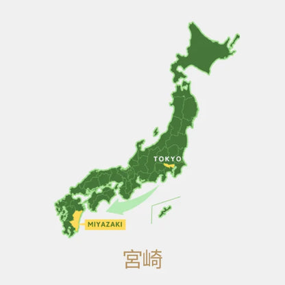TÉ VERDE KAMAIRICHA procesado en wok MIYAZAKI 80 g