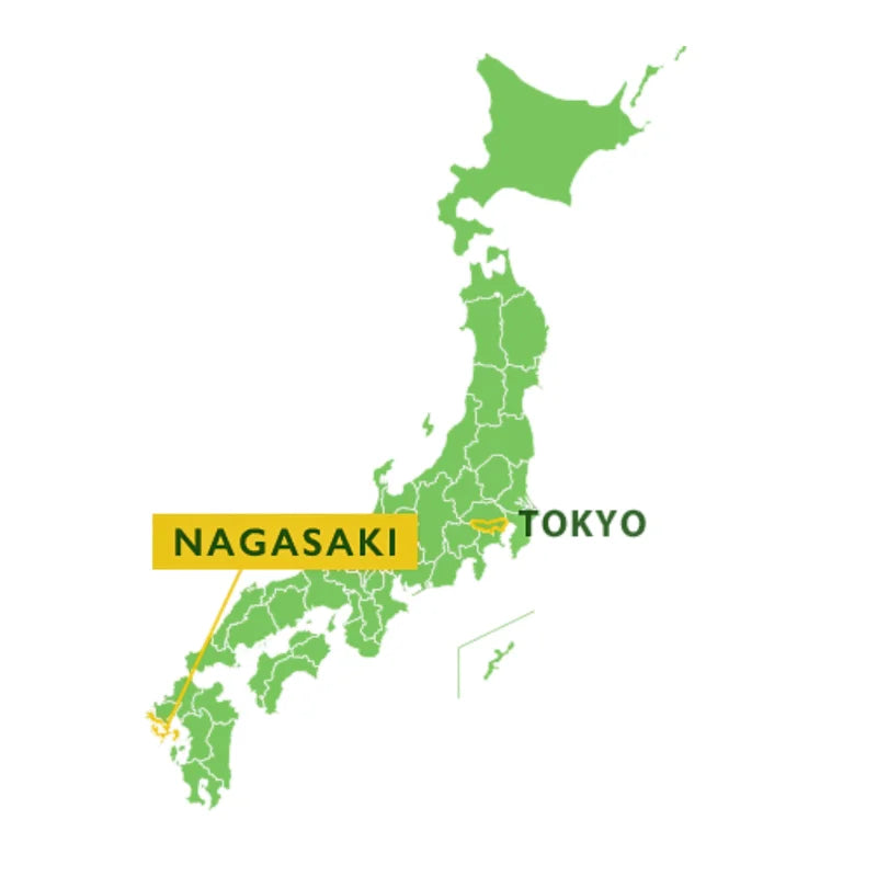 HASAMI YAKI vaso yunomi japonés sencha ume dorado NAGASAKI 125 ml