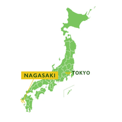 HASAMI YAKI vaso yunomi japonés sencha ume dorado NAGASAKI 125 ml