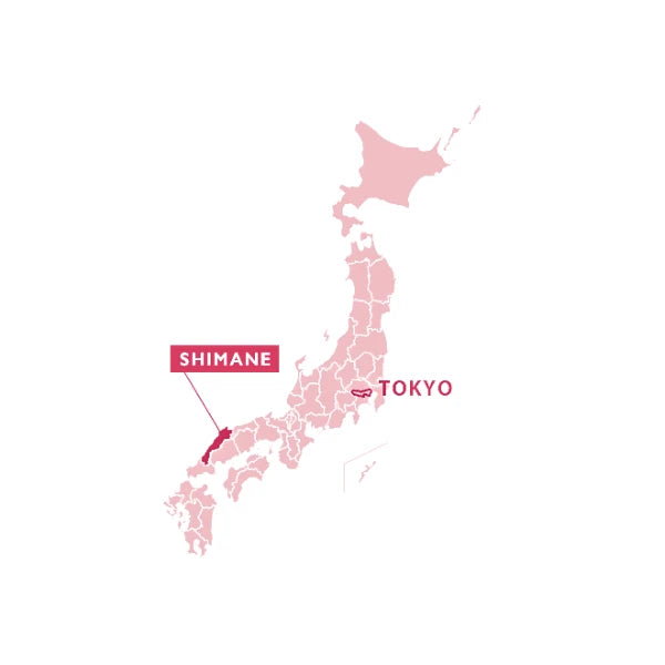 SENCHA te verde en hoja monovarietal Saemidori IZUMO 80 g