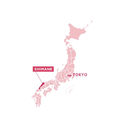 SENCHA te verde en hoja monovarietal Saemidori IZUMO 80 g