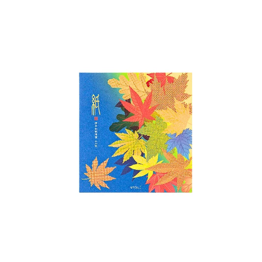 SET papelería japonesa papel cartas y sobres serie kami serie MIDORI