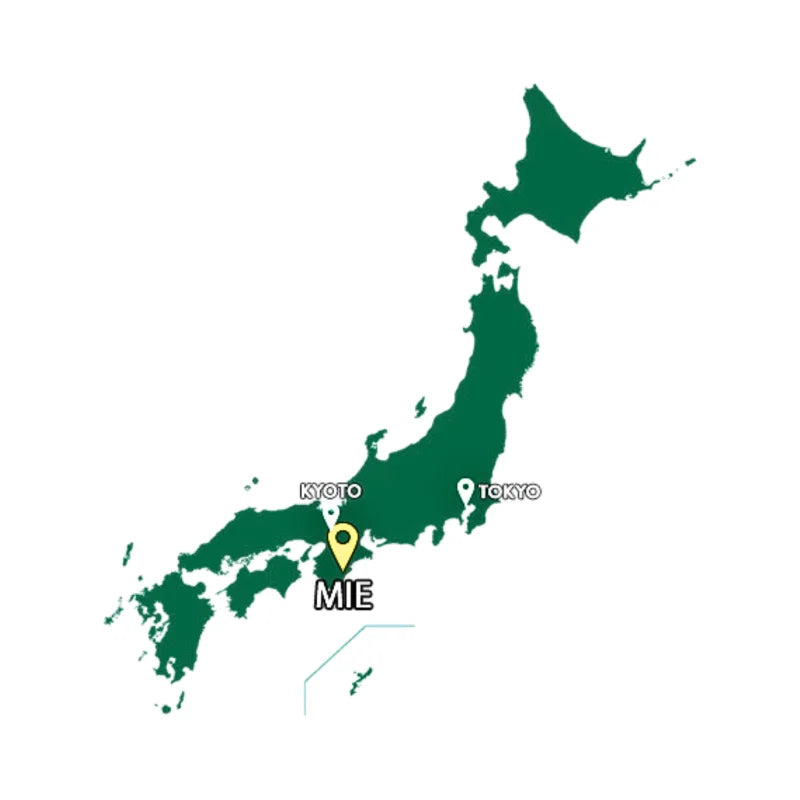 PREORDEN BANKO YAKI tetera japonesa cerámica Tozan HŌHIN 150 ml