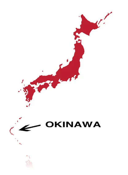 KINCHAKU bolsa tela japonesa bingata OKINAWA