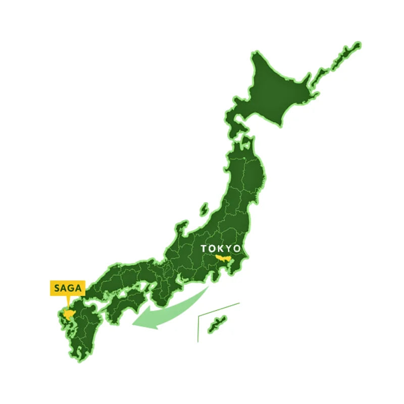 PREORDEN ARITA YAKI tetera japonesa cerámica yokode KYUSU 225 ml