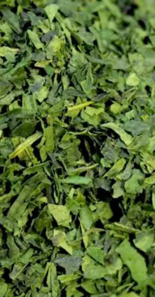 Primera Matcha Qué es el matcha | Descubre la verdad sobre el matcha japonés – The ...