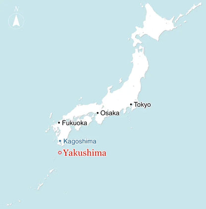 Té negro Yakushima wakocha 100 gr