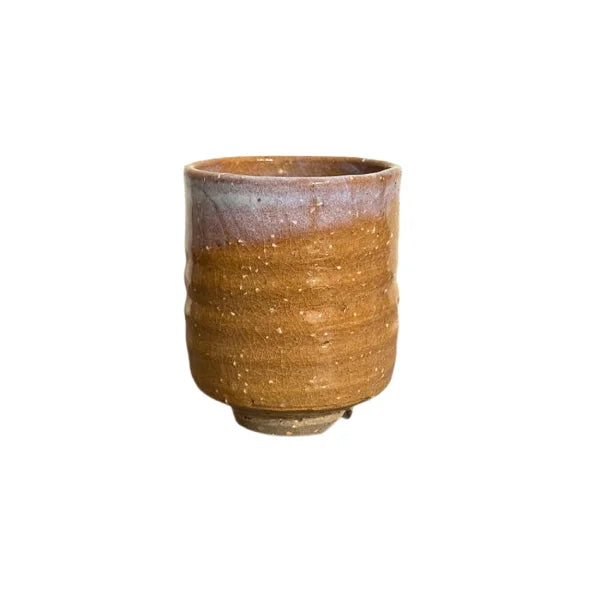 HAGI YAKI vaso yunomi cerámica porosa TEMPOZAN 250 ml